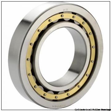 2.559 Inch | 65 Millimeter x 4.724 Inch | 120 Millimeter x 0.906 Inch | 23 Millimeter  CONSOLIDATED BEARING NU-213E M C/3  Cylindrical Roller Bearings