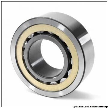 0.787 Inch | 20 Millimeter x 1.85 Inch | 47 Millimeter x 0.551 Inch | 14 Millimeter  CONSOLIDATED BEARING N-204E C/3  Cylindrical Roller Bearings