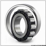 0.787 Inch | 20 Millimeter x 1.85 Inch | 47 Millimeter x 0.551 Inch | 14 Millimeter  CONSOLIDATED BEARING N-204E M  Cylindrical Roller Bearings