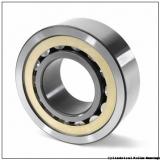 0.787 Inch | 20 Millimeter x 1.85 Inch | 47 Millimeter x 0.551 Inch | 14 Millimeter  CONSOLIDATED BEARING N-204E M C/3  Cylindrical Roller Bearings